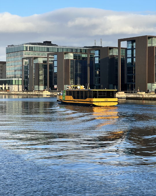 Walk & Canal Tour: Copenhagen Highlights