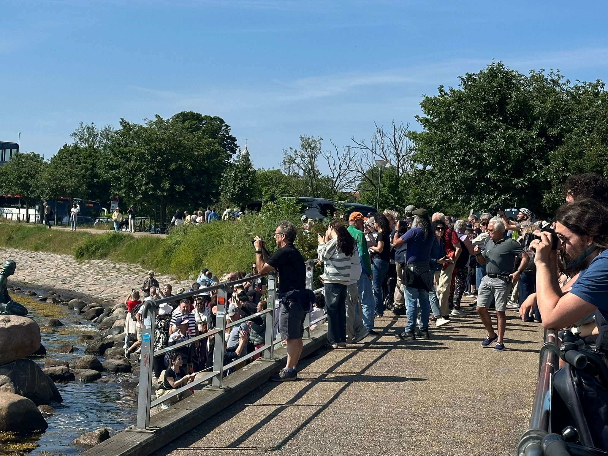 Walk & Canal Tour: Copenhagen Highlights