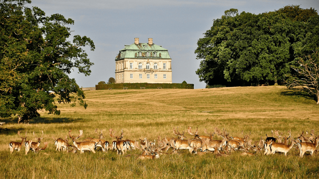 City & Forest Adventure: Bike tour (Private)
