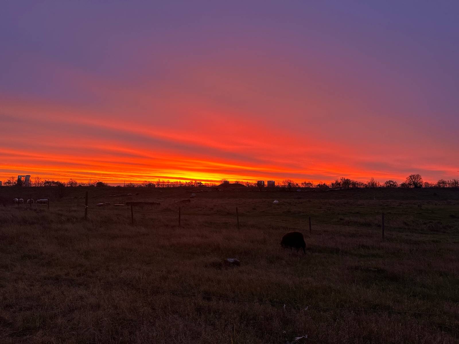 City & Forest Adventure: Bike tour (Private)